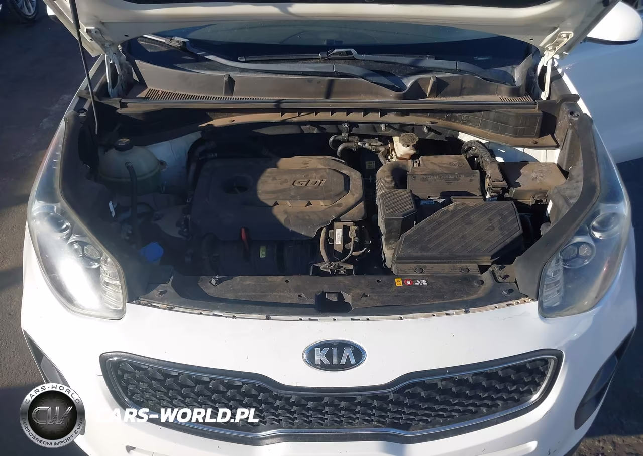 2017 Kia Sportage Lx VIN:KNDPM3AC4H7243892 - 10