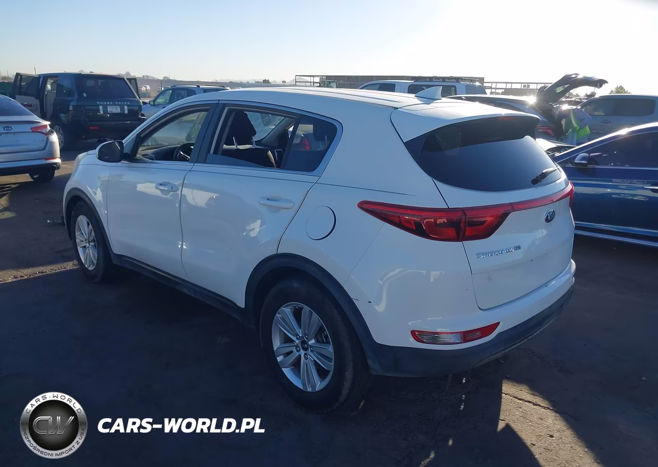 2017 Kia Sportage Lx VIN:KNDPM3AC4H7243892 - 3
