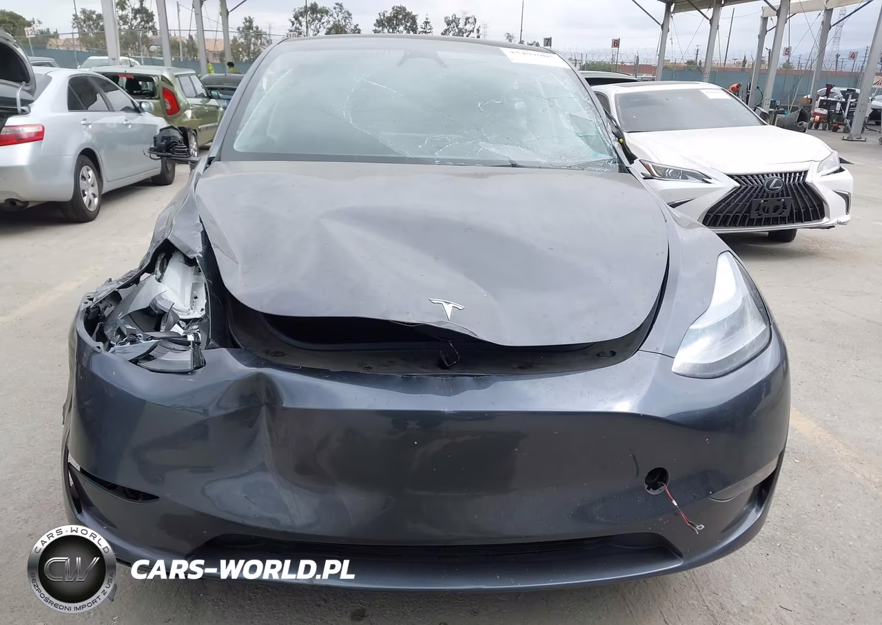 2023 Tesla Model Y Awd-Long Range Dual Motor All-Wheel Drive VIN:7SAYGAEE5PF909942 - 13