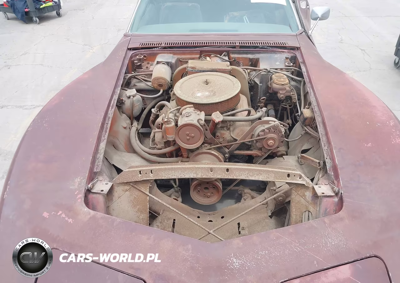 1972 Chevrolet Corvette VIN:194678S406822 - 10