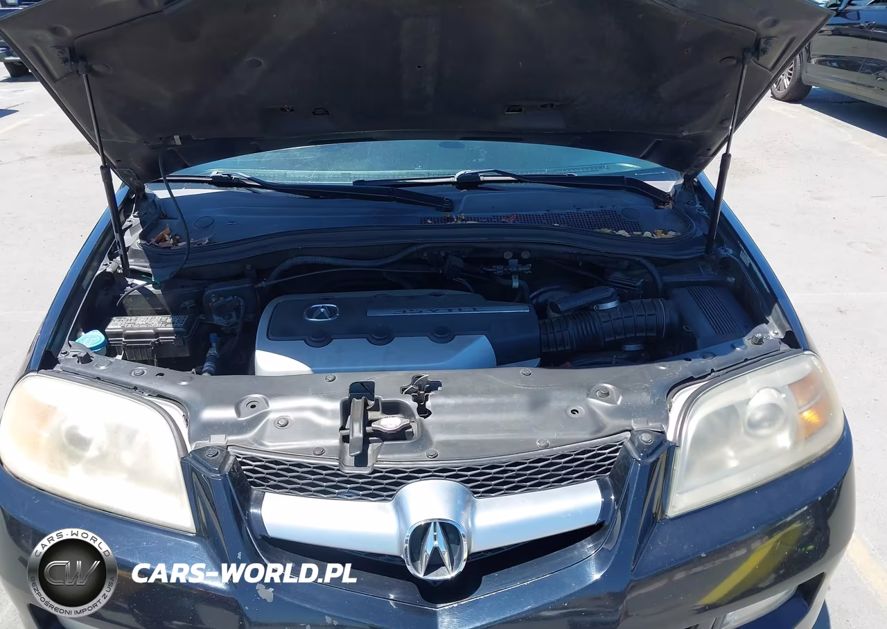 2006 Acura Mdx VIN:2HNYD18886H512871 - 10