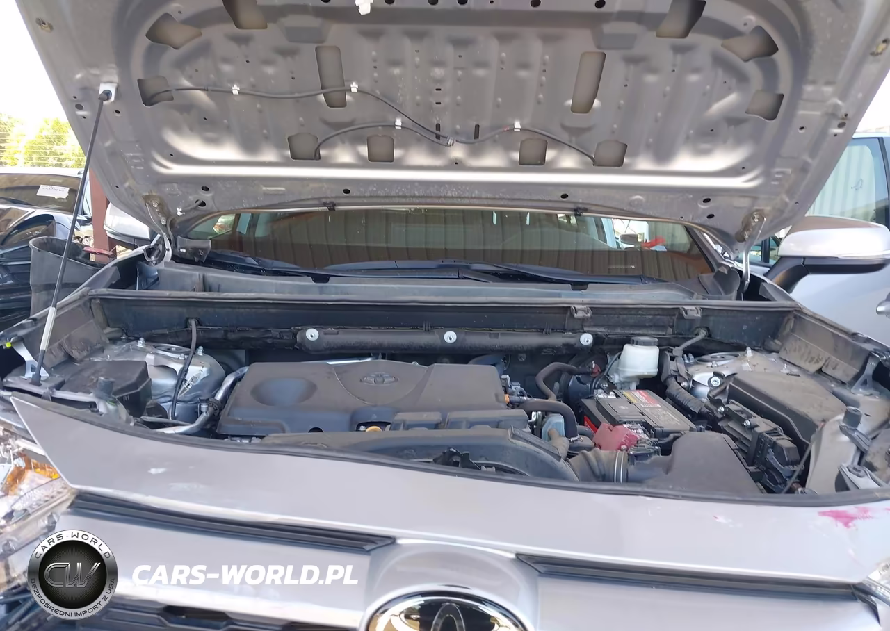 2019 Toyota Rav4 Xle VIN:2T3P1RFV0KW080126 - 10