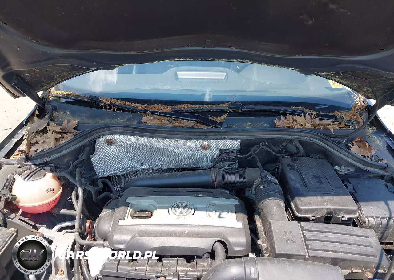 2012 Volkswagen Tiguan Sel VIN:WVGBV7AX2CW591895 - 10
