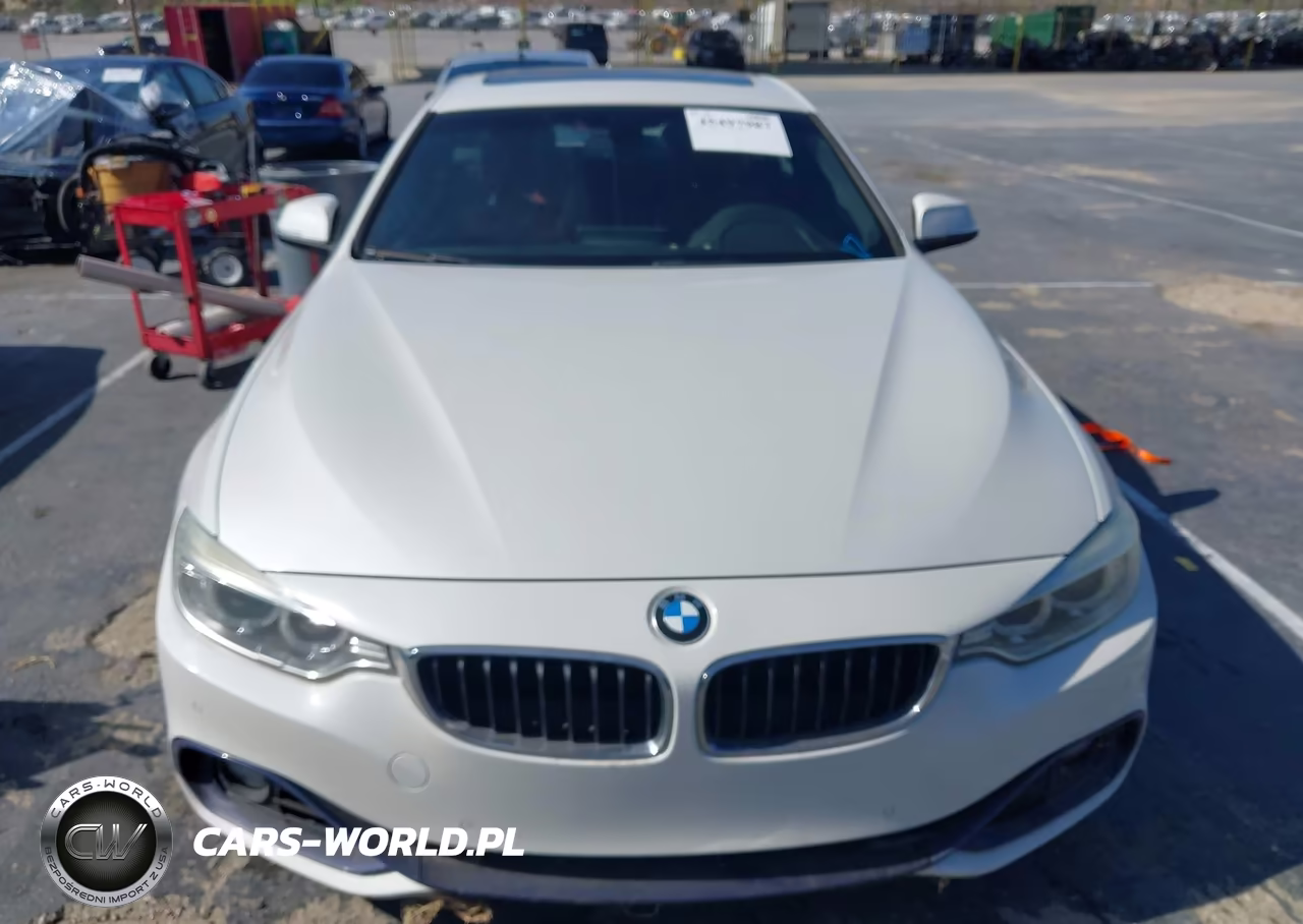 2016 BMW 428I Gran Coupe VIN:WBA4A9C52GG504834 - 12
