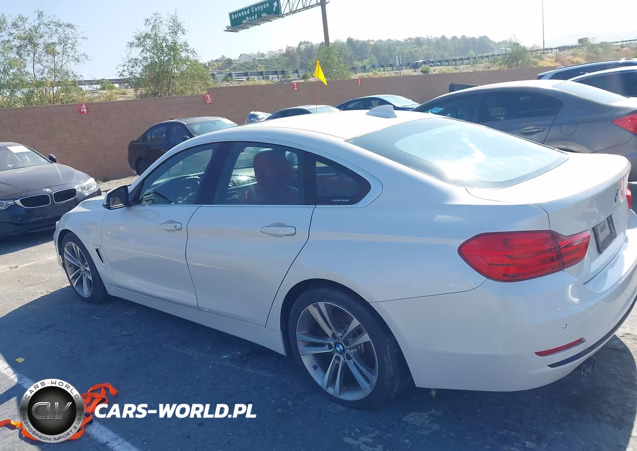 2016 BMW 428I Gran Coupe VIN:WBA4A9C52GG504834 - 14