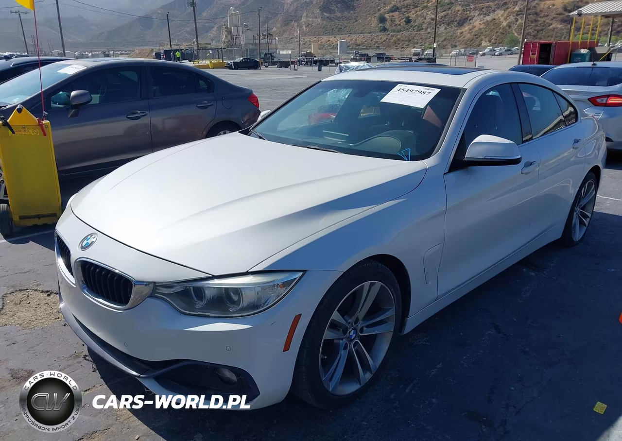 2016 BMW 428I Gran Coupe VIN:WBA4A9C52GG504834 - 2
