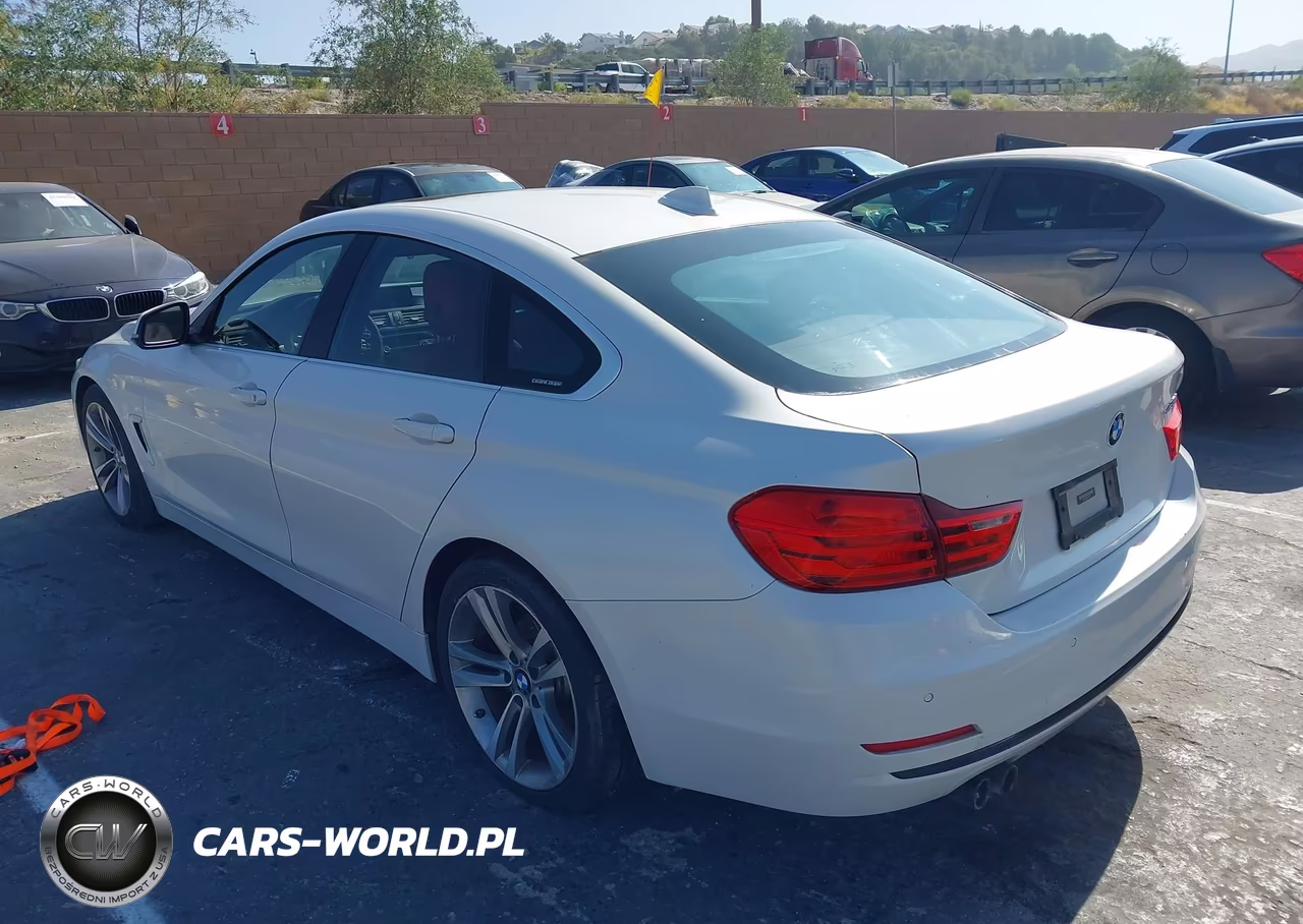 2016 BMW 428I Gran Coupe VIN:WBA4A9C52GG504834 - 3