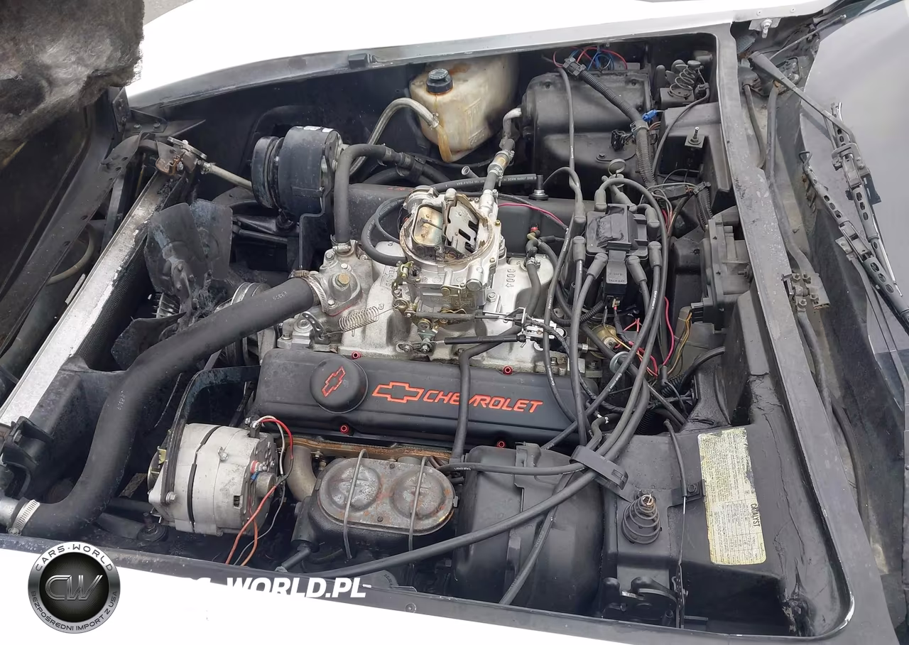 1978 Chevrolet Corvette VIN:00001Z87L8S402905 - 10