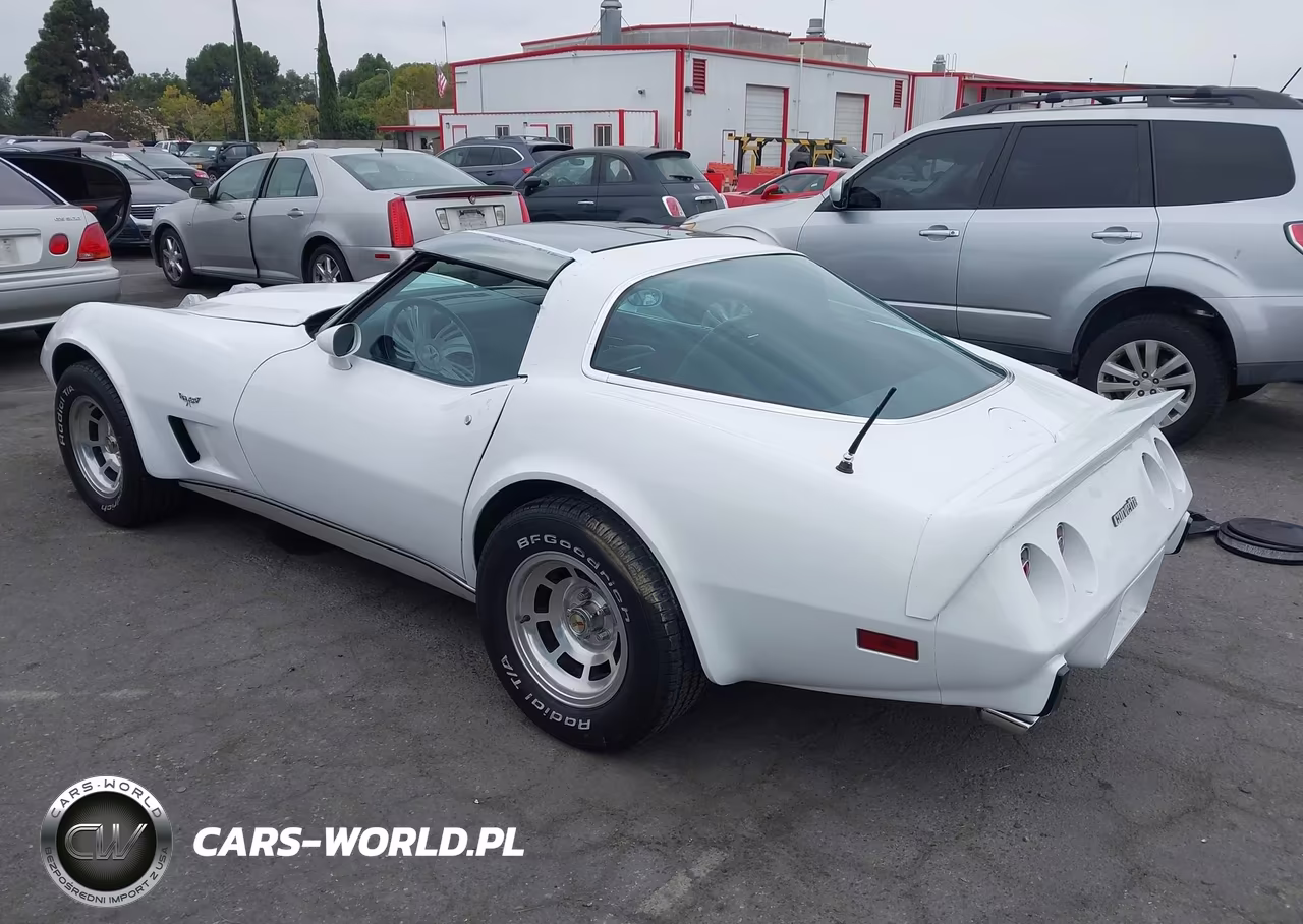 1978 Chevrolet Corvette VIN:00001Z87L8S402905 - 3