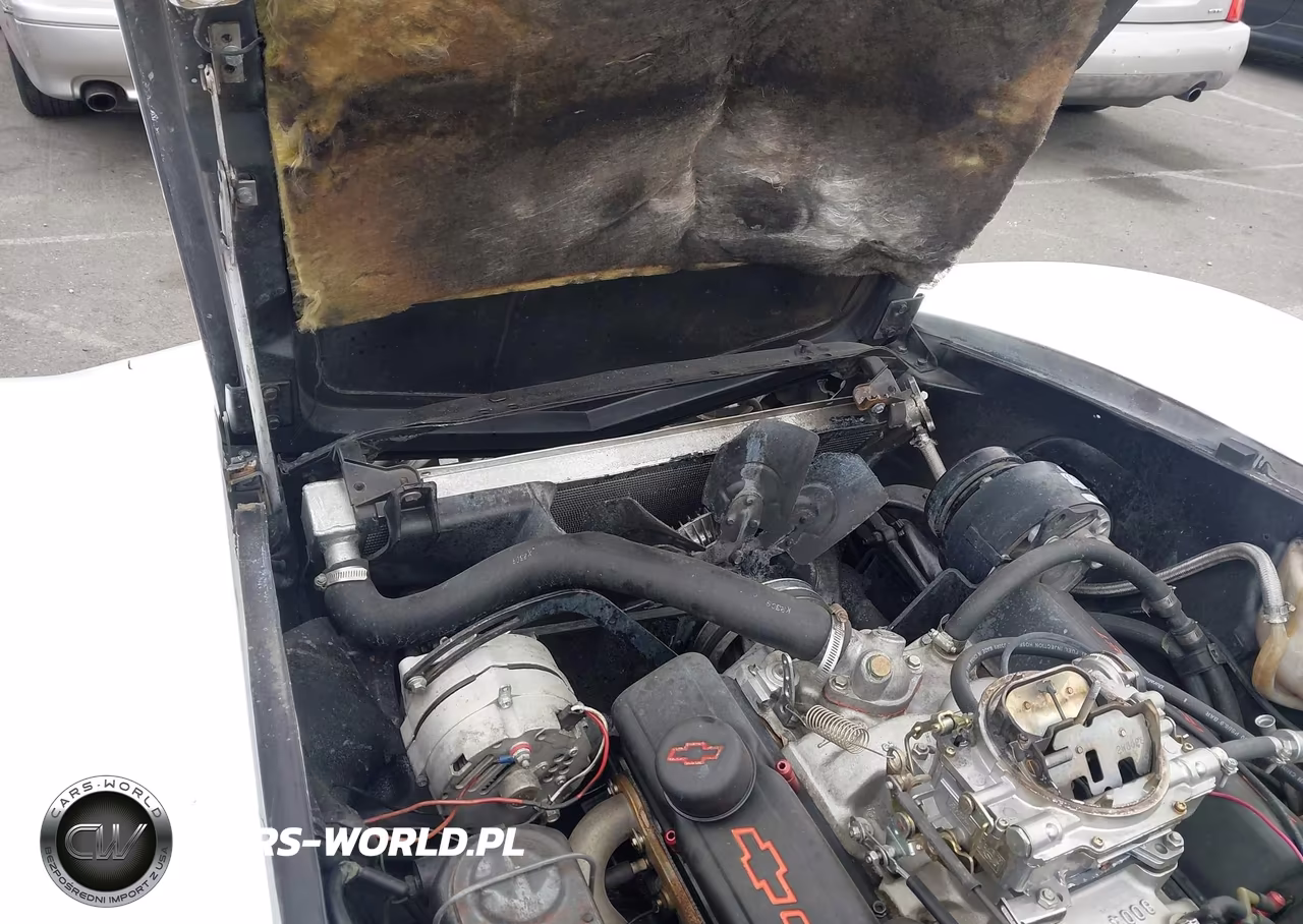 1978 Chevrolet Corvette VIN:00001Z87L8S402905 - 6