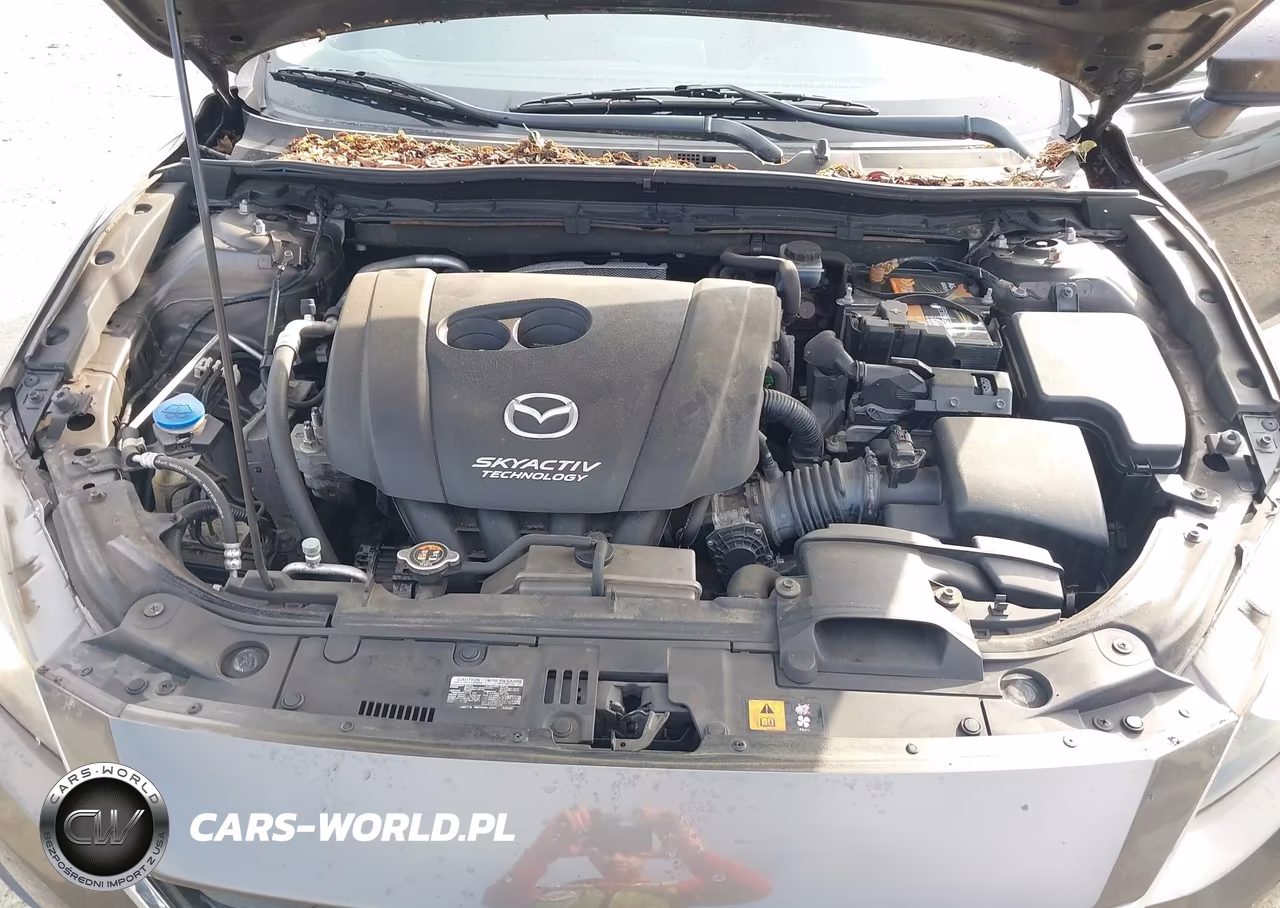 2014 Mazda Mazda3 I Touring VIN:JM1BM1L75E1213149 - 10
