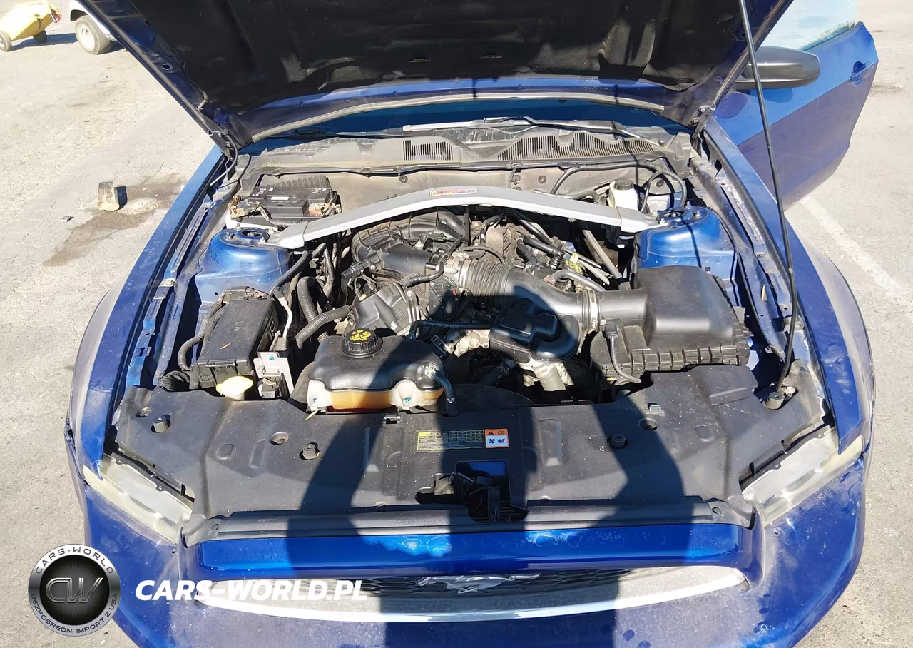 2013 Ford Mustang V6 Premium VIN:1ZVBP8EM3D5229504 - 10