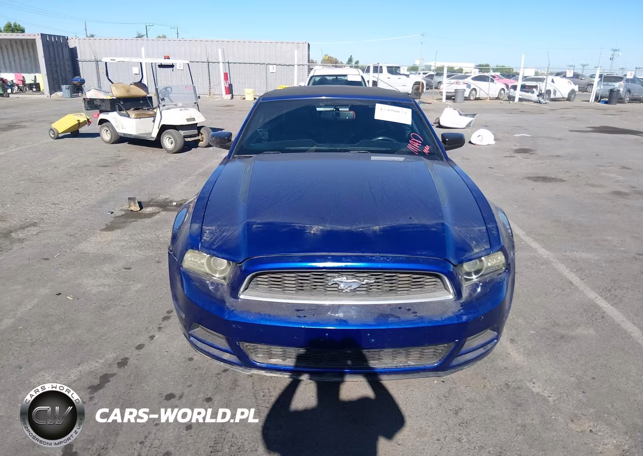 2013 Ford Mustang V6 Premium VIN:1ZVBP8EM3D5229504 - 12