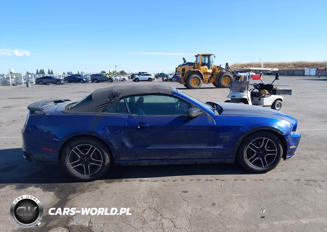 2013 Ford Mustang V6 Premium VIN:1ZVBP8EM3D5229504 - 13