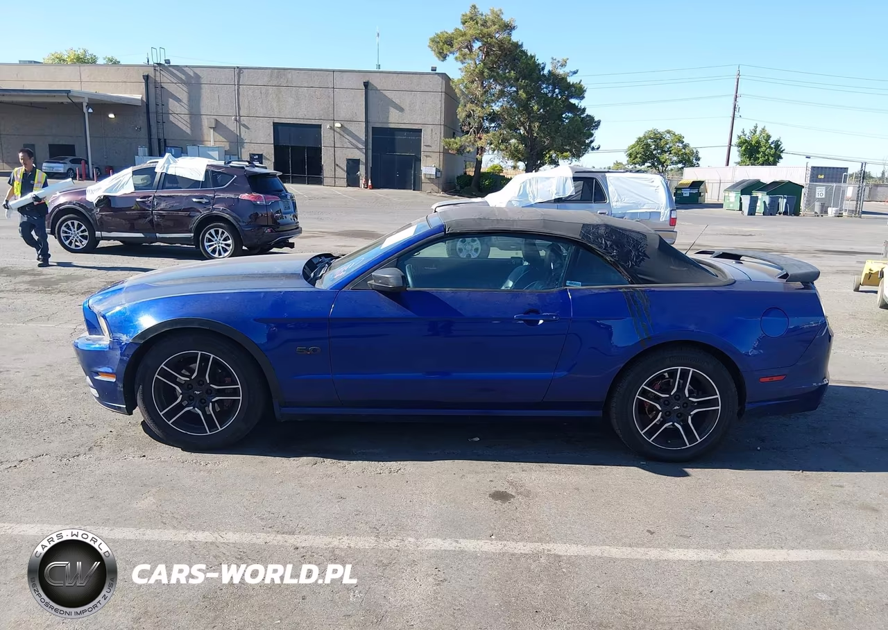 2013 Ford Mustang V6 Premium VIN:1ZVBP8EM3D5229504 - 14