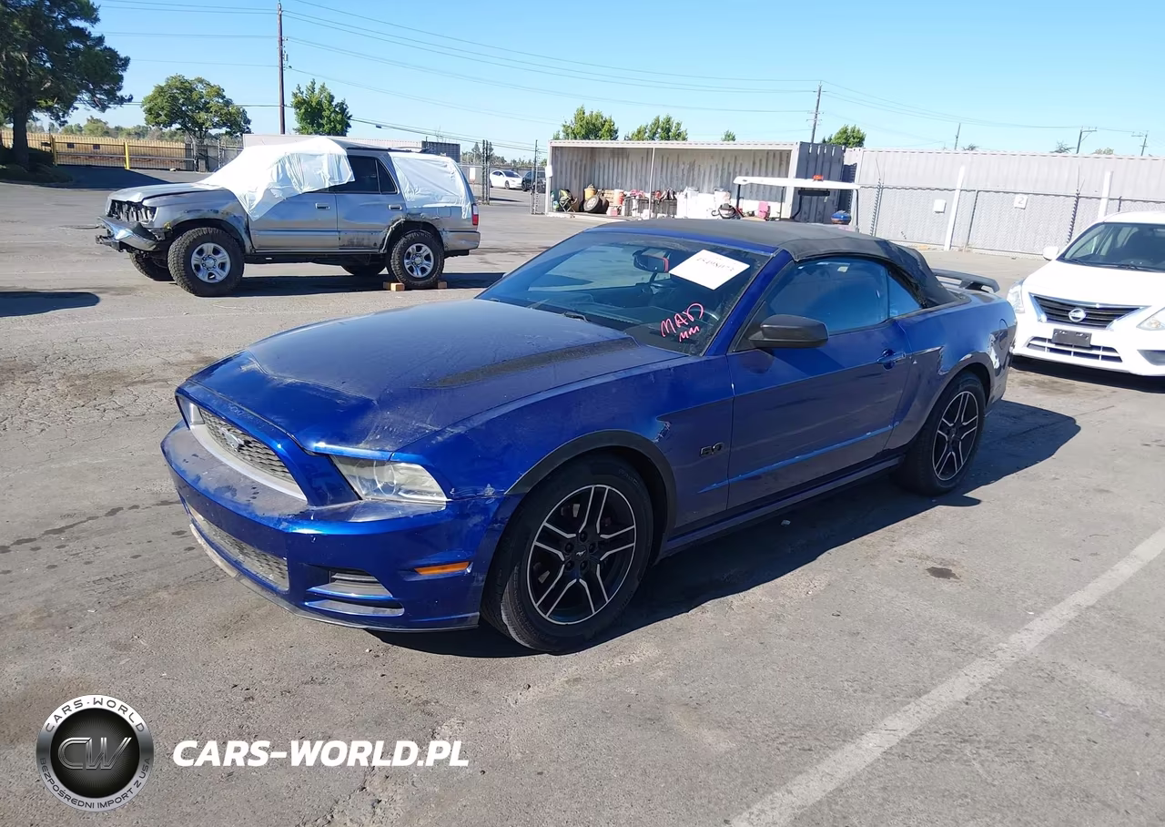 2013 Ford Mustang V6 Premium VIN:1ZVBP8EM3D5229504 - 2