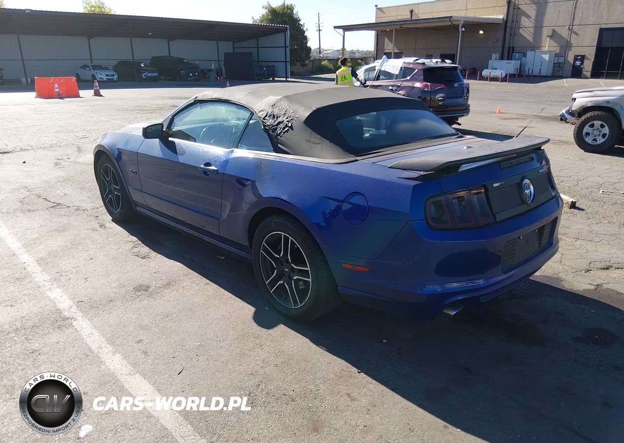 2013 Ford Mustang V6 Premium VIN:1ZVBP8EM3D5229504 - 3