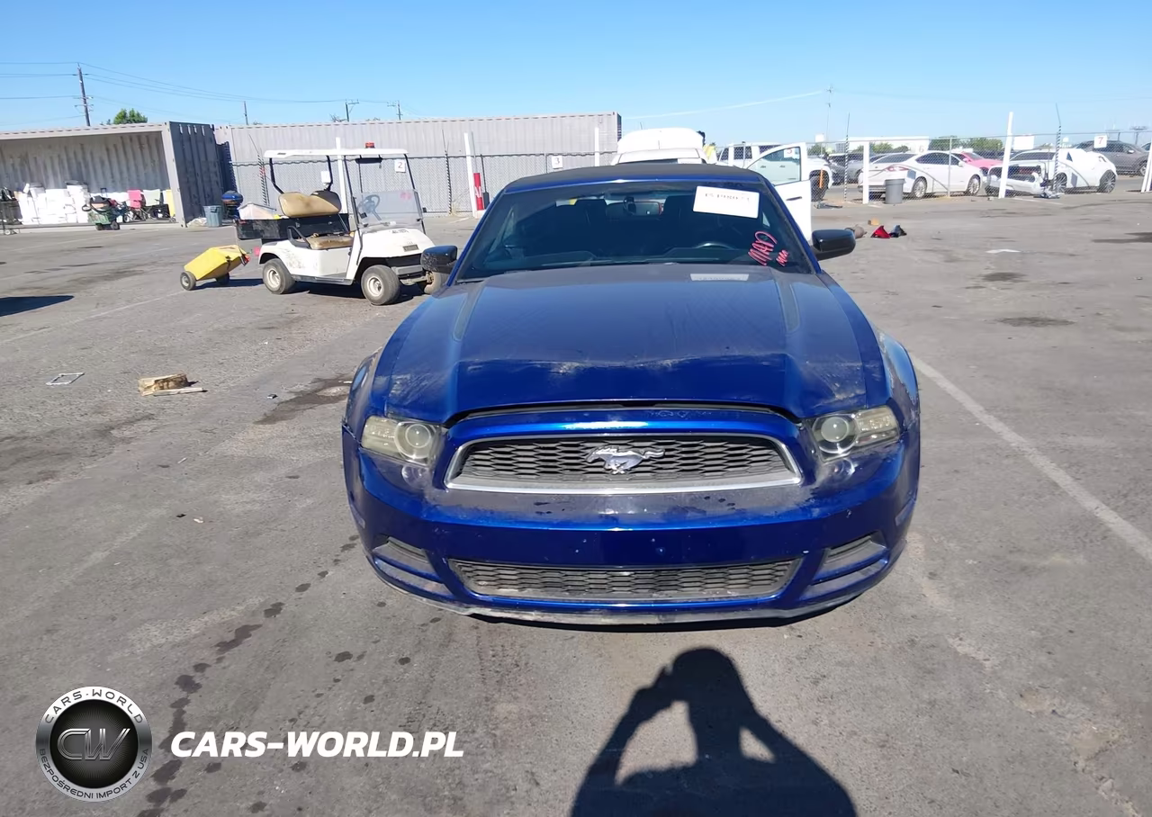 2013 Ford Mustang V6 Premium VIN:1ZVBP8EM3D5229504 - 6