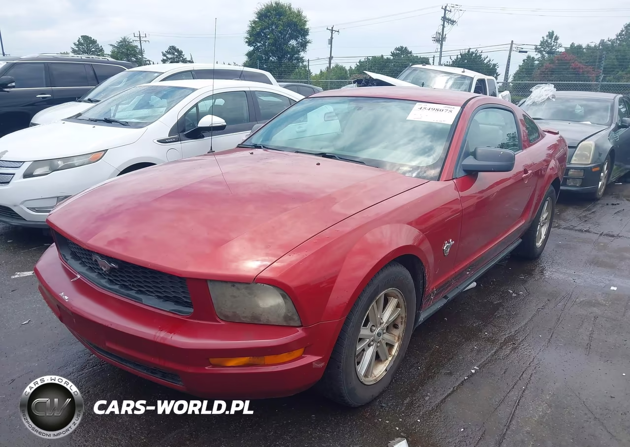 2009 Ford Mustang V6 VIN:1ZVHT80N595104937 - 2