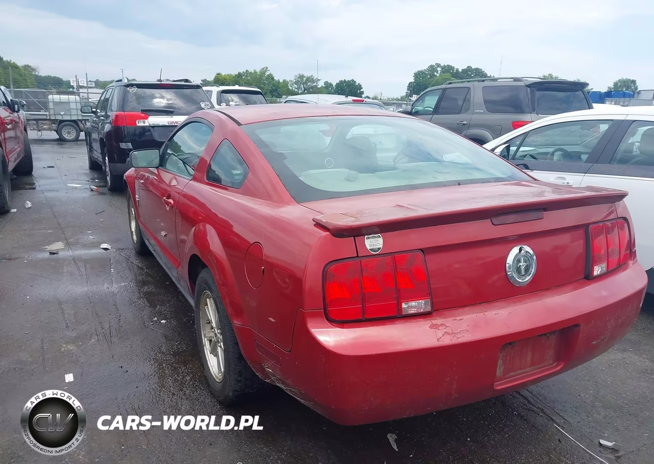 2009 Ford Mustang V6 VIN:1ZVHT80N595104937 - 3
