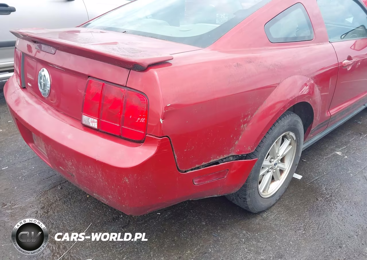 2009 Ford Mustang V6 VIN:1ZVHT80N595104937 - 6