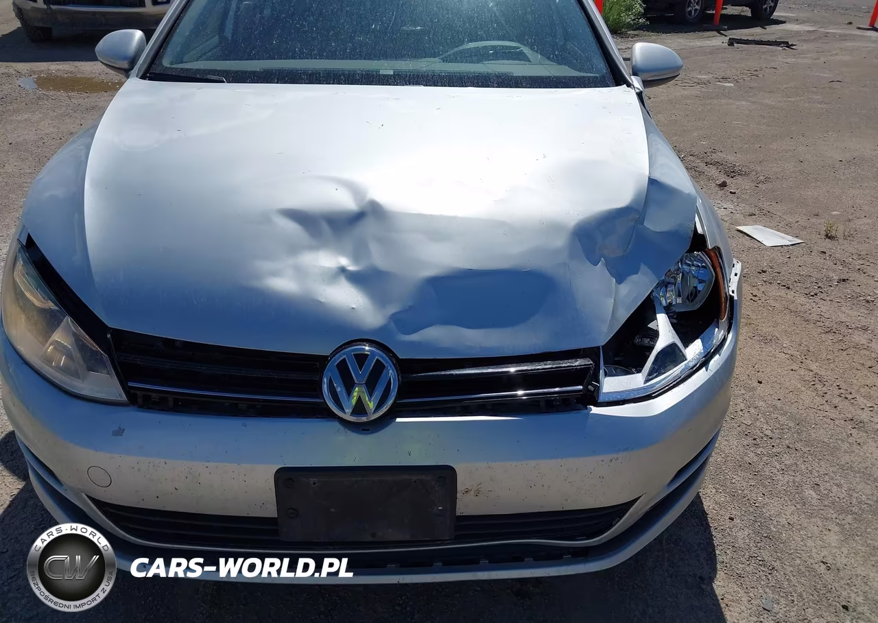 2017 Volkswagen Golf Sportwagen Tsi S VIN:3VW017AU6HM518787 - 17