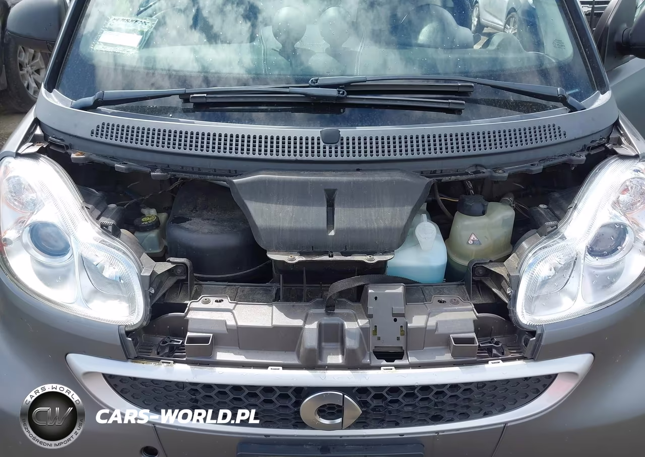 2013 Smart Fortwo Passion VIN:WMEEJ3BA2DK601366 - 10
