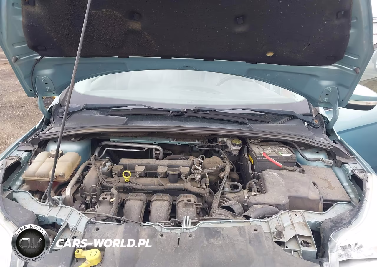 2012 Ford Focus Sel VIN:1FAHP3M25CL101880 - 10