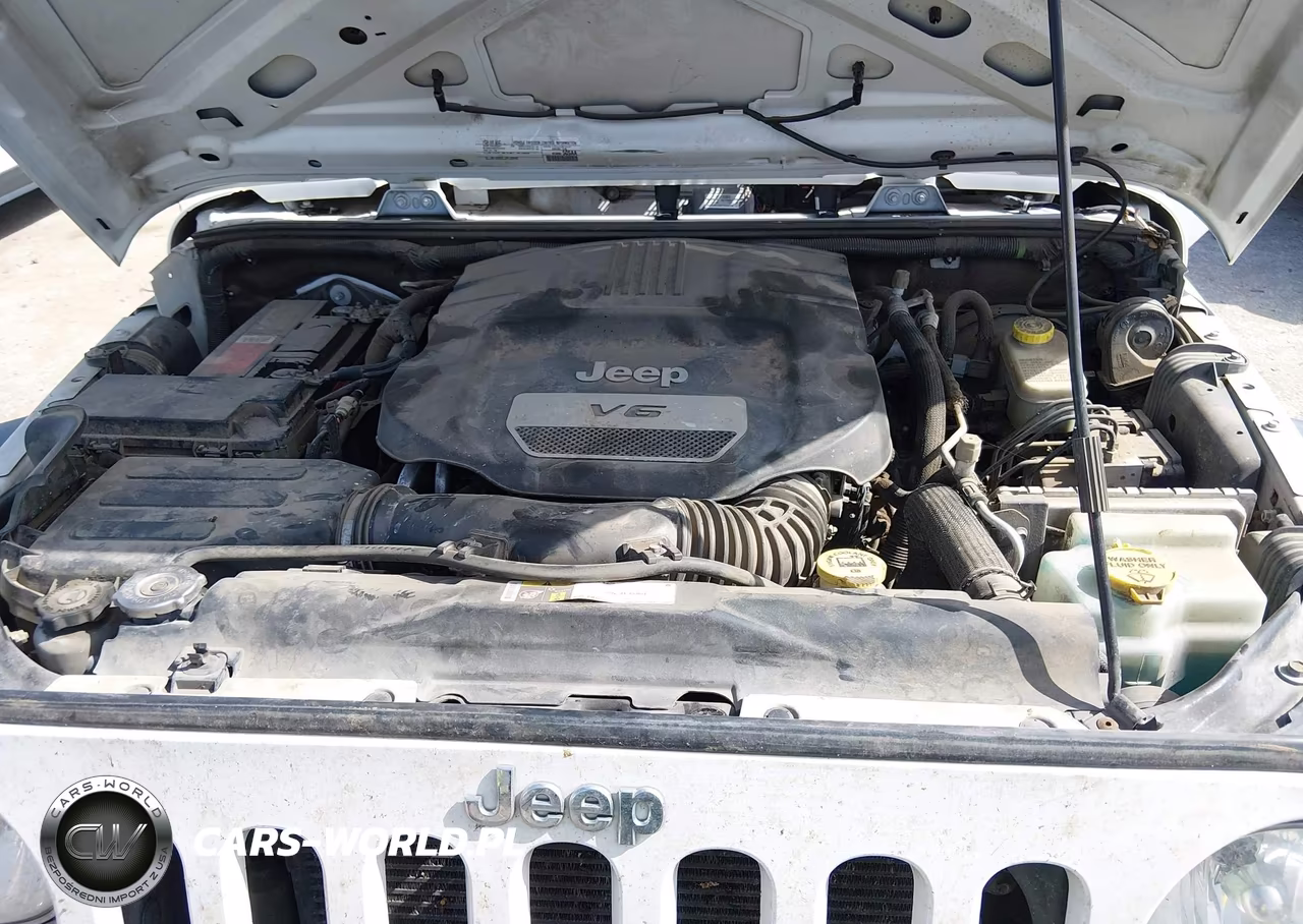 2016 Jeep Wrangler Unlimited Sport VIN:1C4BJWDGXGL187319 - 10