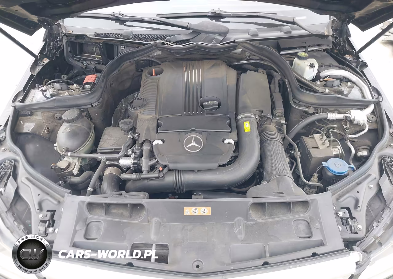 2012 Mercedes-Benz C 250 Luxury-Sport VIN:WDDGF4HB3CR205411 - 10