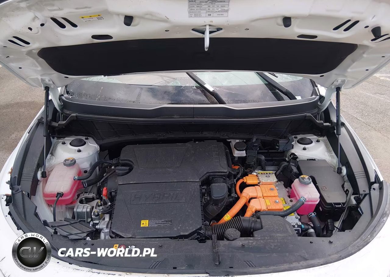 2024 Kia Niro Ex VIN:KNDCR3LE7R5187474 - 10
