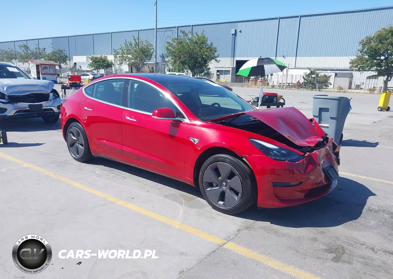 2019 Tesla Model 3