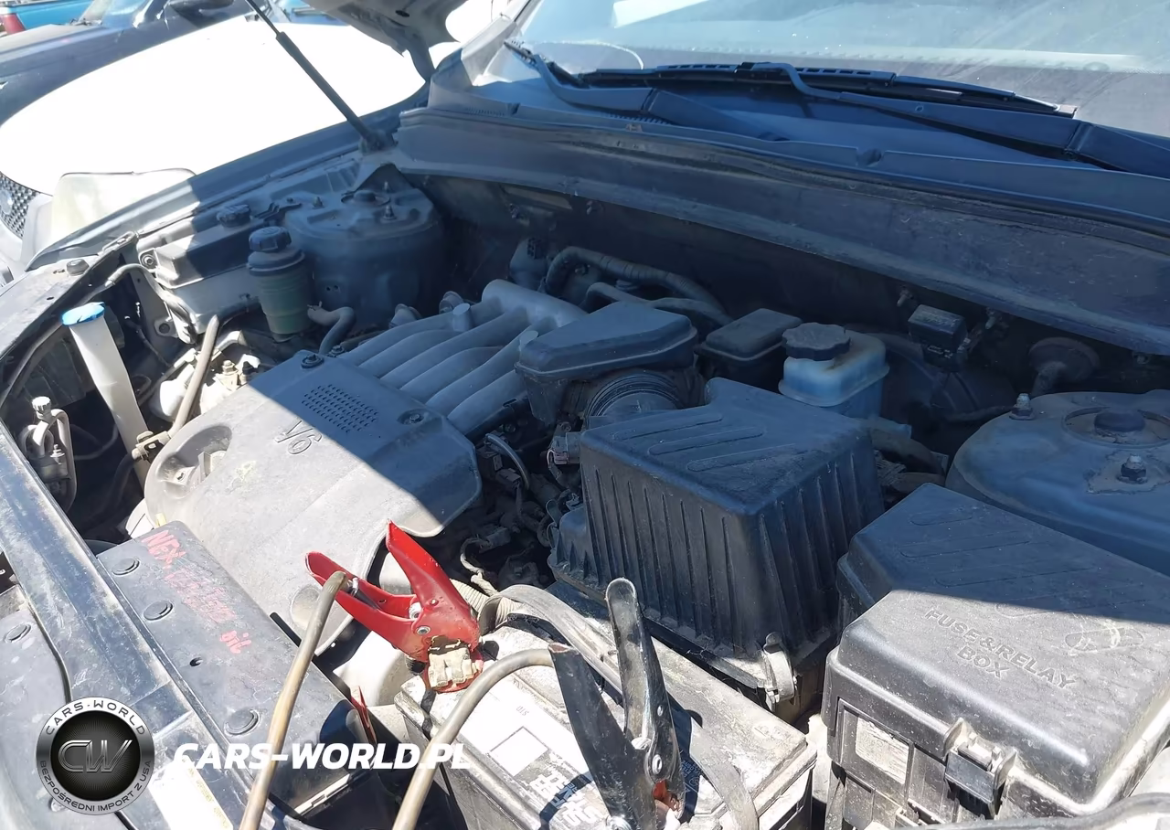 2009 Hyundai Santa Fe Gls VIN:5NMSG13D09H265653 - 10