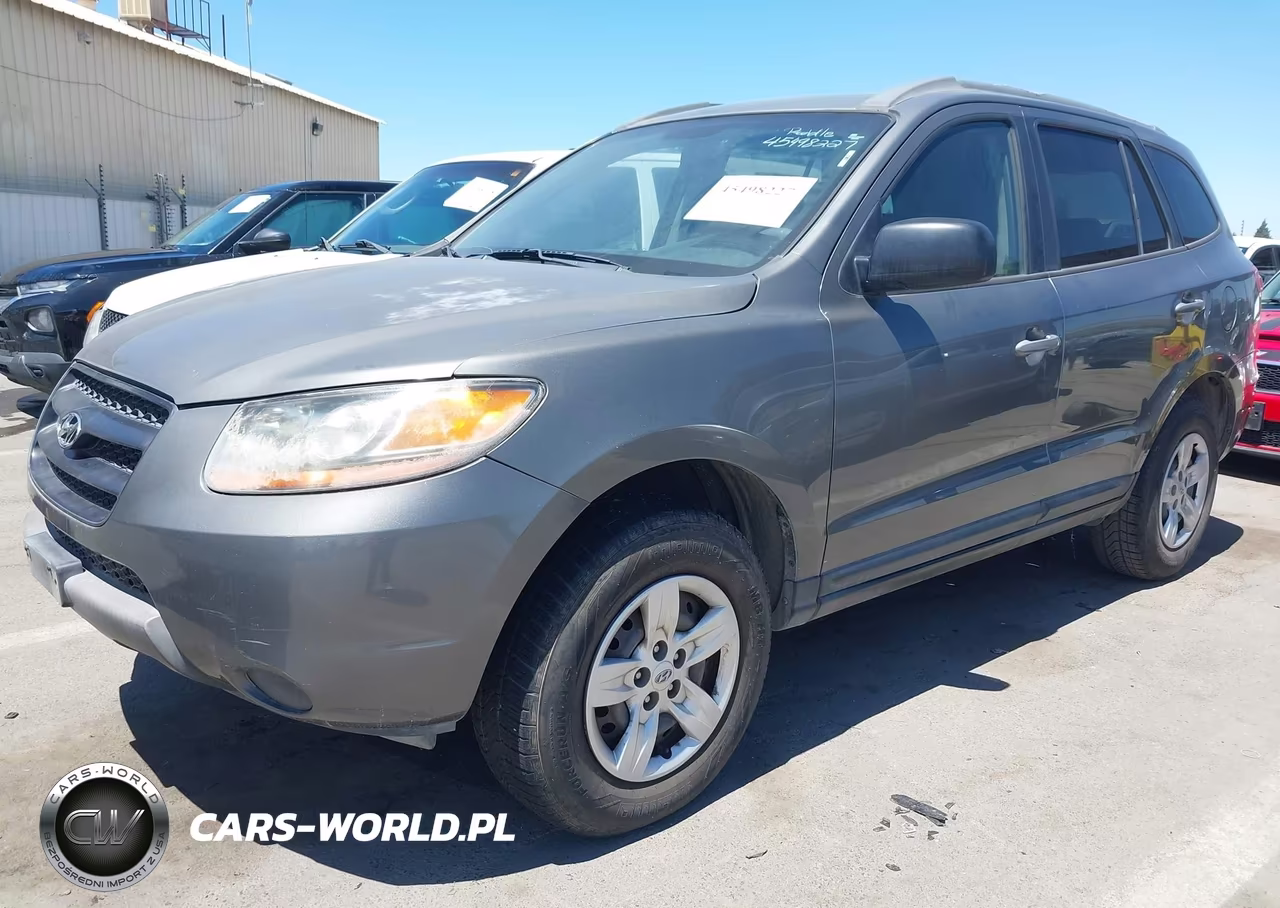 2009 Hyundai Santa Fe Gls VIN:5NMSG13D09H265653 - 2