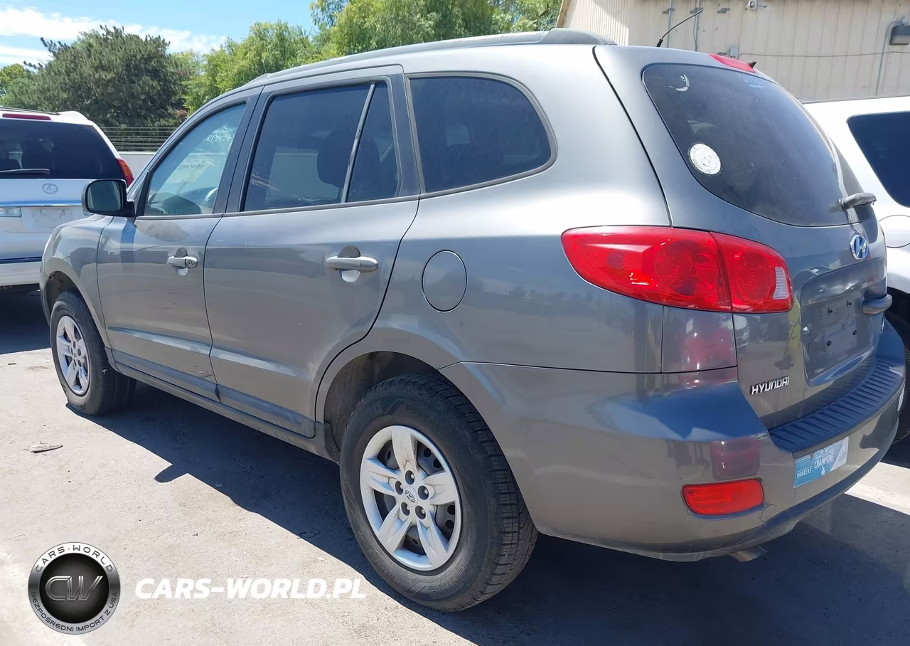 2009 Hyundai Santa Fe Gls VIN:5NMSG13D09H265653 - 3