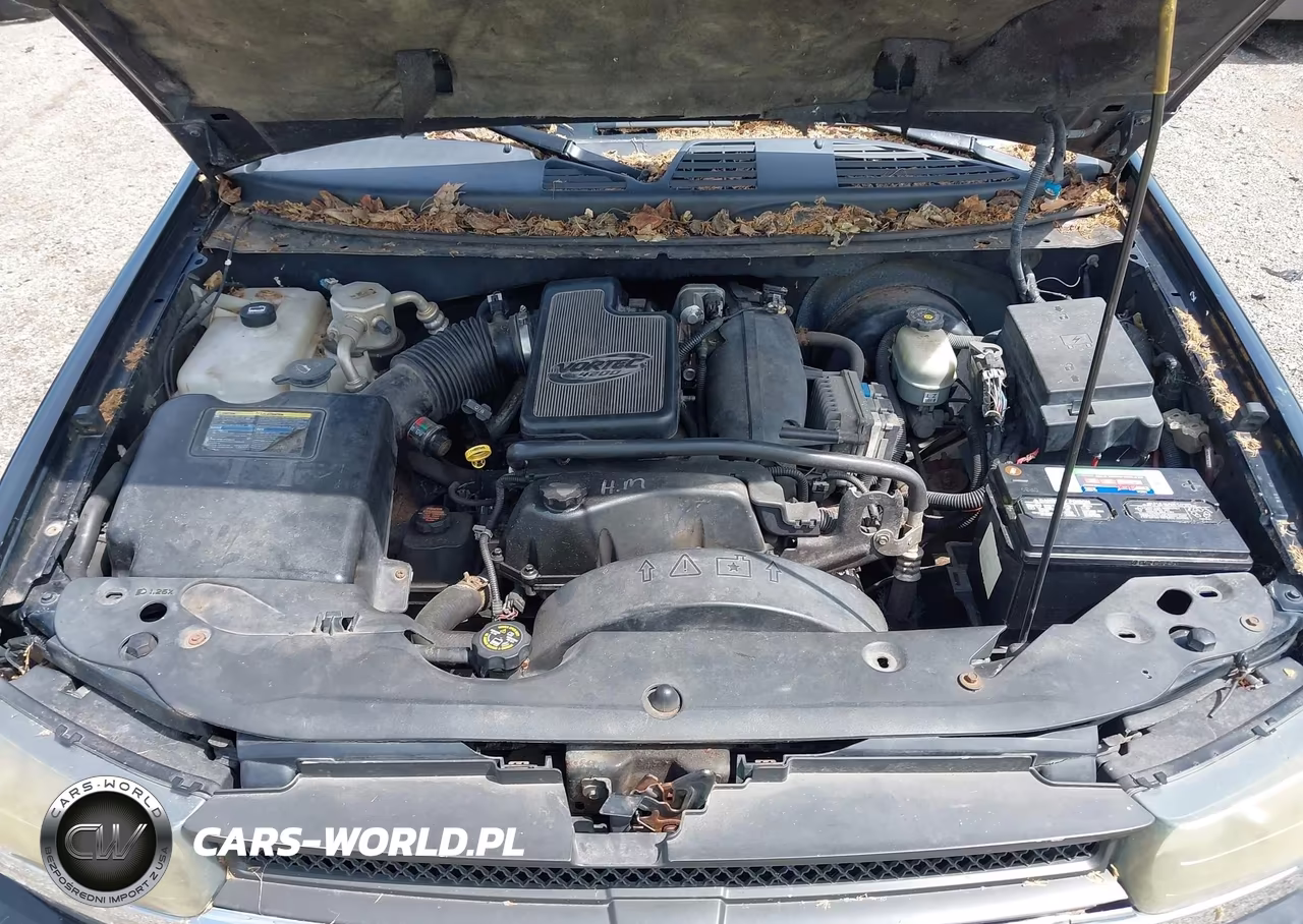 2002 Chevrolet Trailblazer Ls VIN:1GNDT13S822208220 - 10