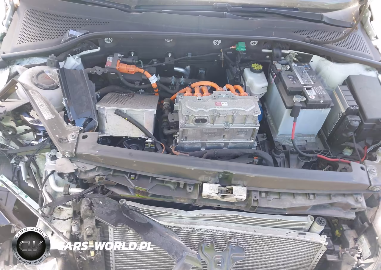 2019 Volkswagen E-Golf Se VIN:WVWKR7AU1KW917246 - 10