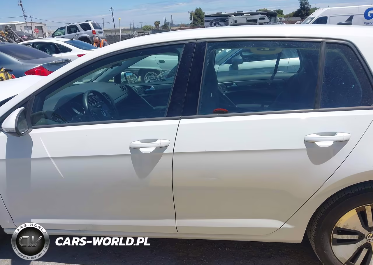 2019 Volkswagen E-Golf Se VIN:WVWKR7AU1KW917246 - 14
