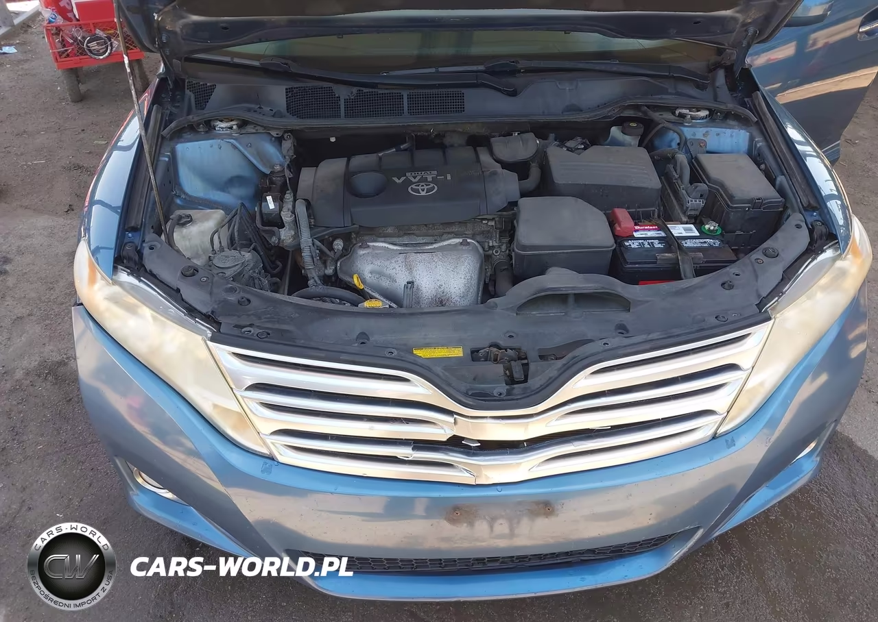 2009 Toyota Venza VIN:4T3BE11A79U006880 - 10