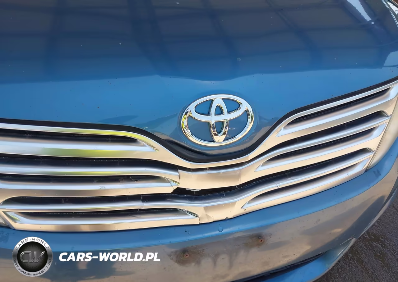 2009 Toyota Venza VIN:4T3BE11A79U006880 - 18