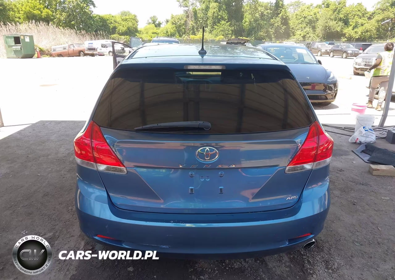 2009 Toyota Venza VIN:4T3BE11A79U006880 - 19