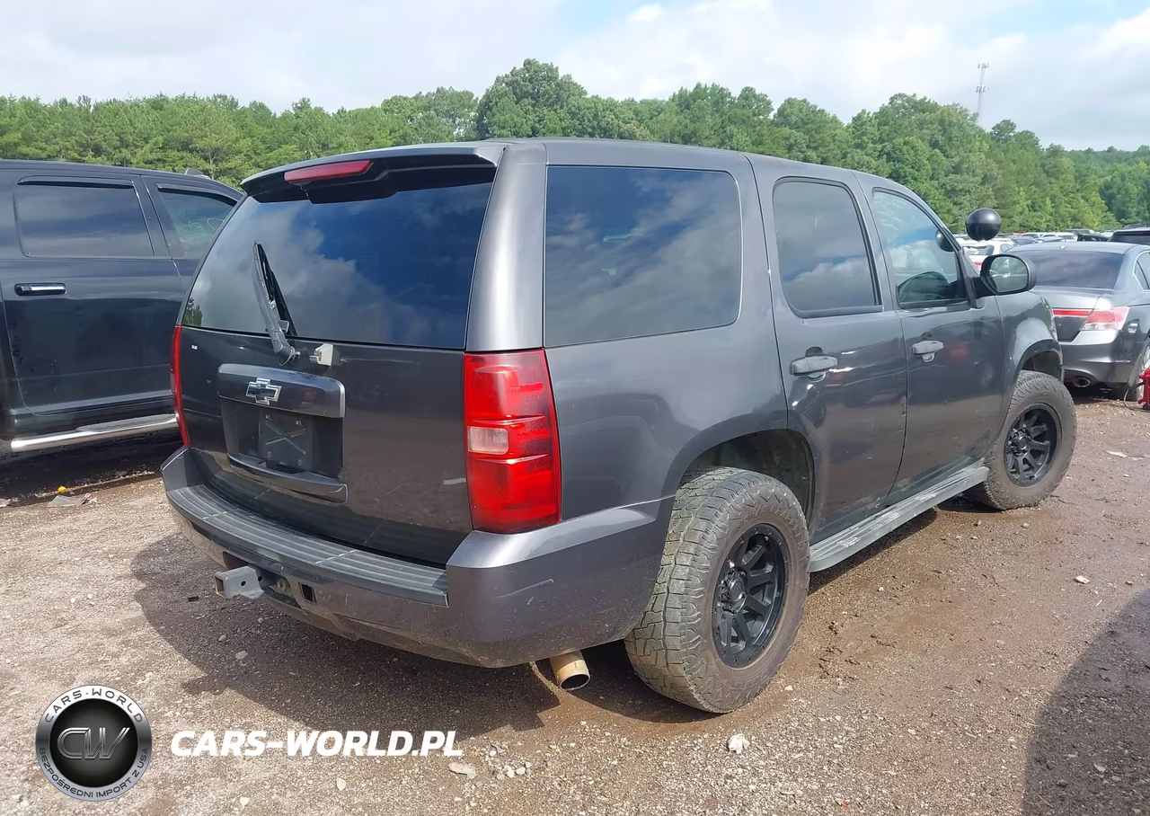 2010 Chevrolet Tahoe Ls VIN:1GNMCAE0XAR182494 - 4