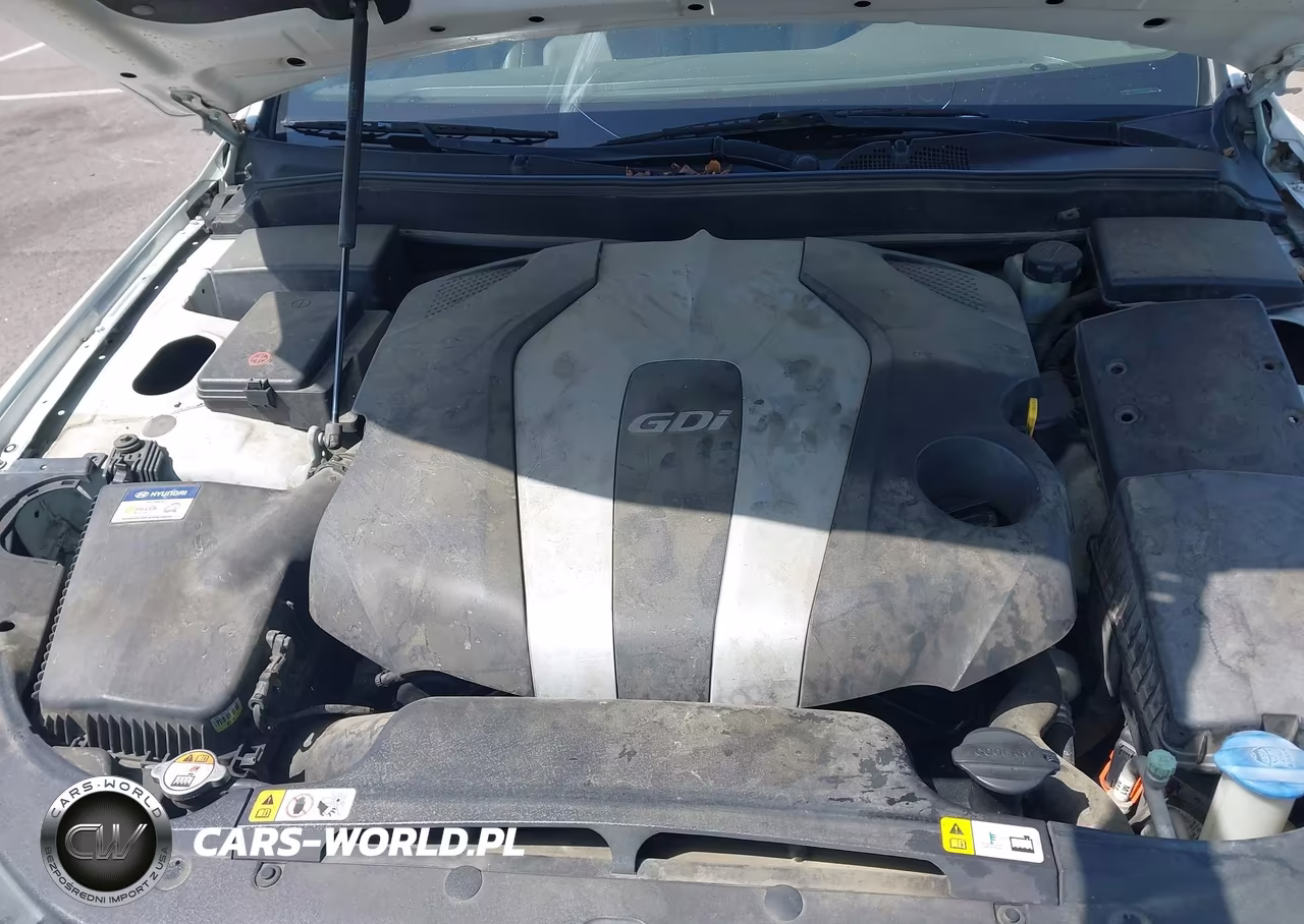 2014 Hyundai Genesis 3.8 VIN:KMHGC4DD9EU259351 - 10