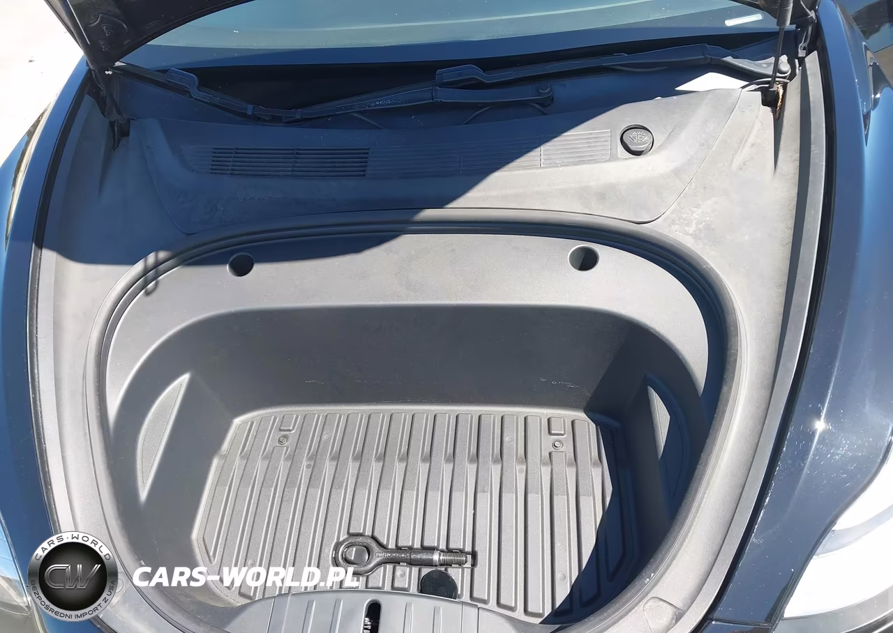 2020 Tesla Model 3 Standard Range Plus Rear-Wheel Drive-Standard Range Rear-Wheel Drive VIN:5YJ3E1EA1LF804769 - 10
