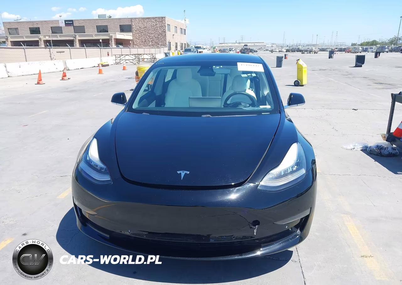 2020 Tesla Model 3 Standard Range Plus Rear-Wheel Drive-Standard Range Rear-Wheel Drive VIN:5YJ3E1EA1LF804769 - 12