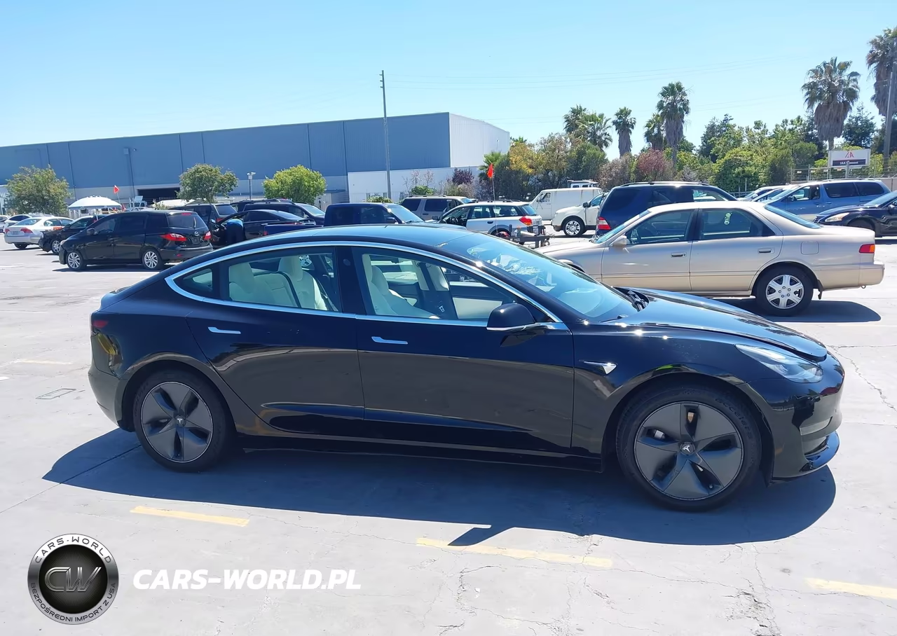 2020 Tesla Model 3 Standard Range Plus Rear-Wheel Drive-Standard Range Rear-Wheel Drive VIN:5YJ3E1EA1LF804769 - 13