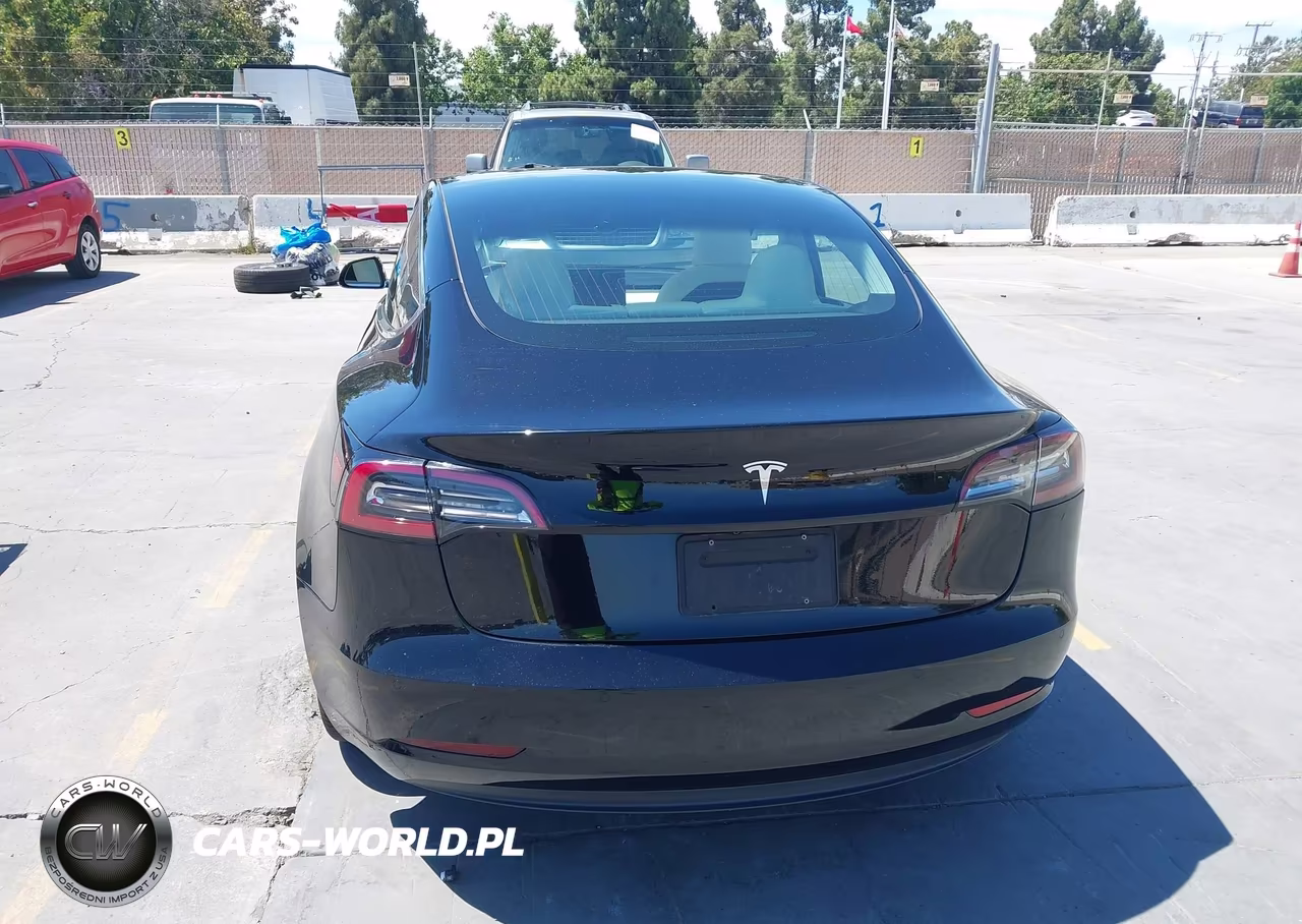 2020 Tesla Model 3 Standard Range Plus Rear-Wheel Drive-Standard Range Rear-Wheel Drive VIN:5YJ3E1EA1LF804769 - 16