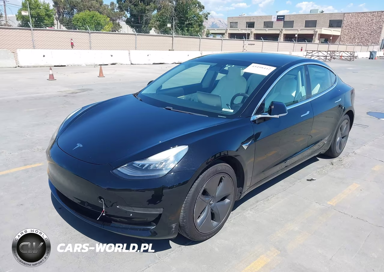 2020 Tesla Model 3 Standard Range Plus Rear-Wheel Drive-Standard Range Rear-Wheel Drive VIN:5YJ3E1EA1LF804769 - 6