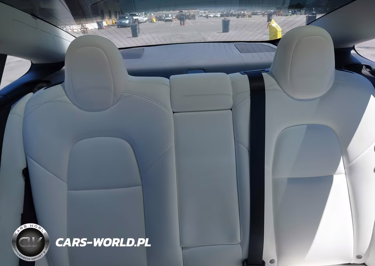 2020 Tesla Model 3 Standard Range Plus Rear-Wheel Drive-Standard Range Rear-Wheel Drive VIN:5YJ3E1EA1LF804769 - 8