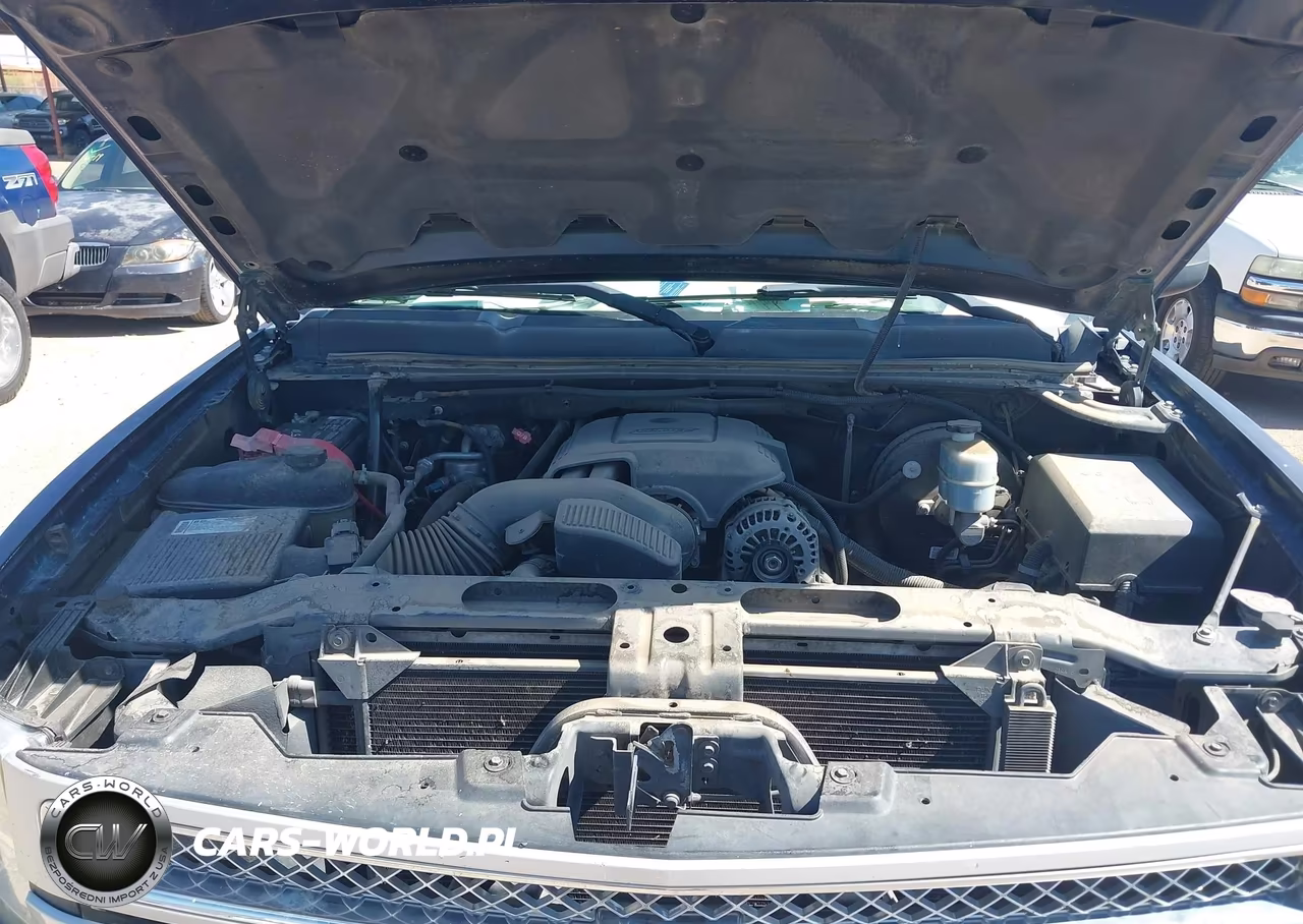 2009 Chevrolet Silverado 1500 Work Truck VIN:1GCEC19CX9Z154241 - 10